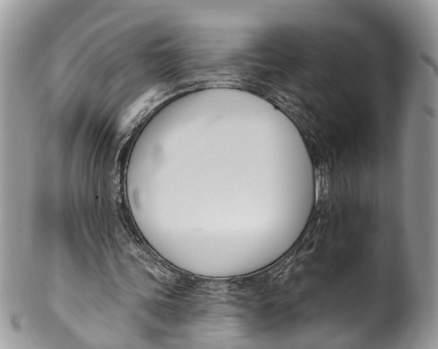 X0000099970339200806131537