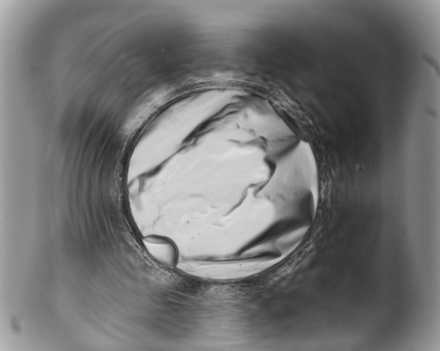 X0000099970341200806131537