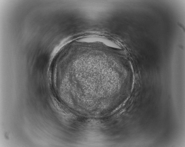 X0000099970343200806131537