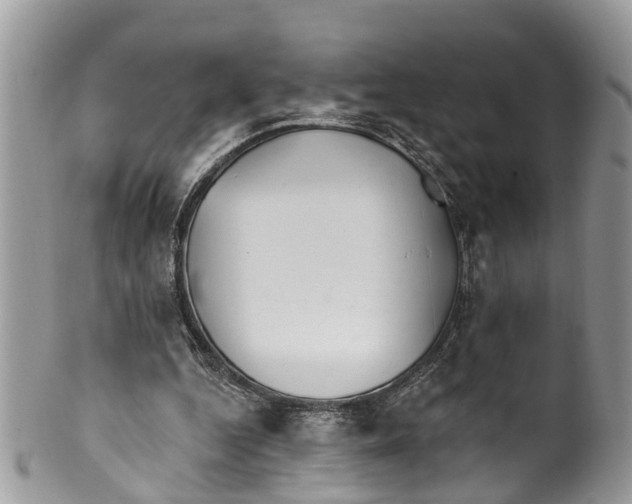 X0000099970344200806131537