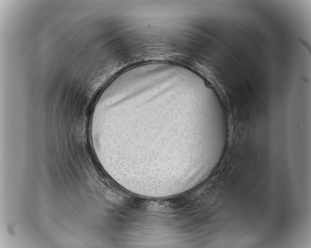 X0000099970346200806131537