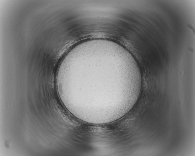 X0000099970347200806131537