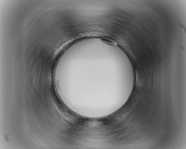 X0000099970348200806131537