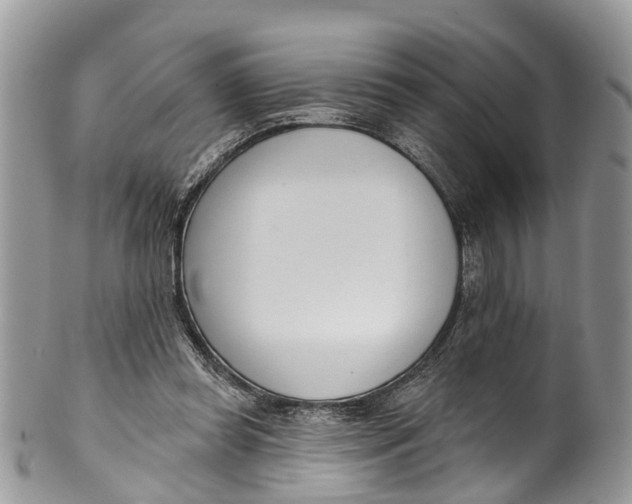 X0000099970349200806131537