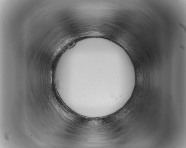 X0000099970350200806131537