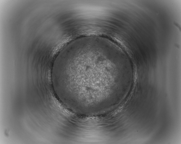 X0000099970353200806131537