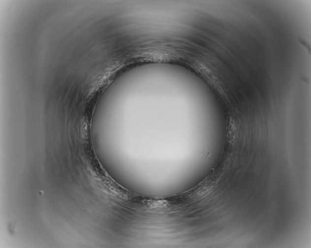 X0000099970355200806131537