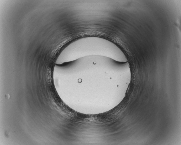 X0000099970356200806131537