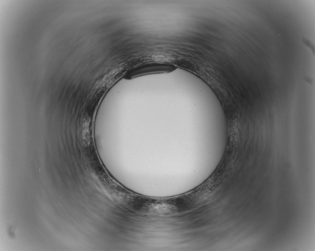 X0000099970360200806131537