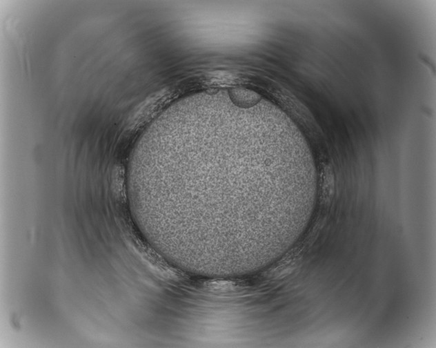 X0000099970361200806131537