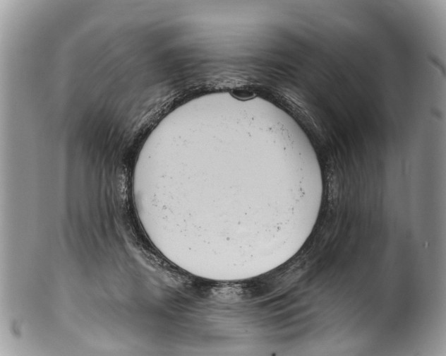 X0000099970362200806131537