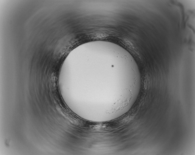 X0000099970366200806131537