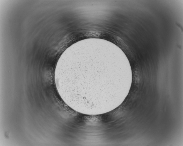 X0000099970370200806131537