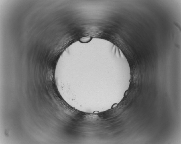 X0000099970374200806131537