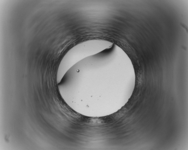 X0000099970376200806131537