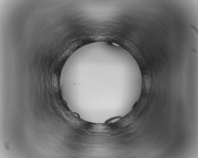 X0000099970380200806131537