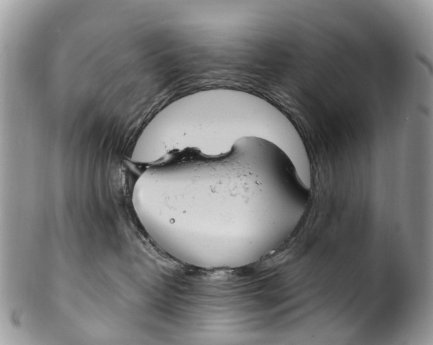 X0000099970382200806131537