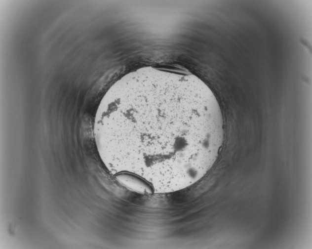 X0000099970384200806131537