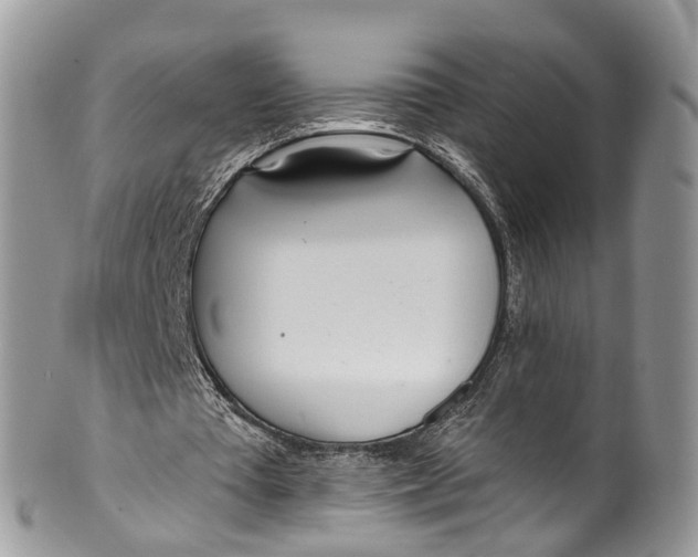 X0000099970385200806131537