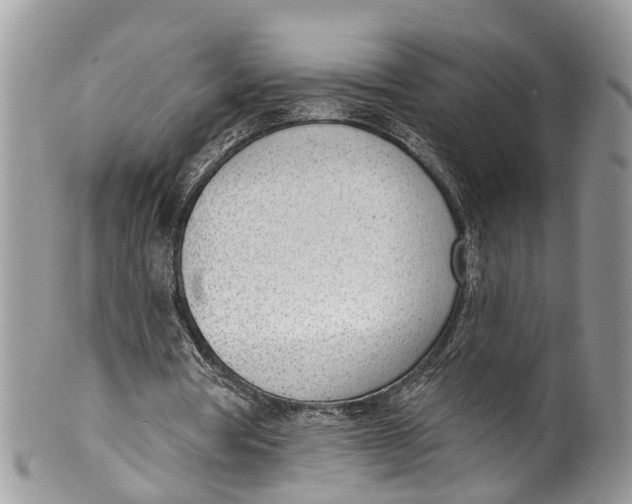 X0000099970386200806131537