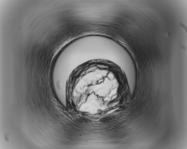 X0000099970387200806131537