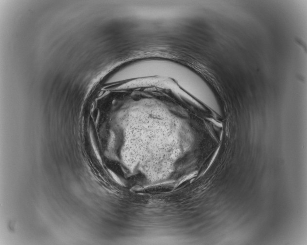 X0000099970388200806131537