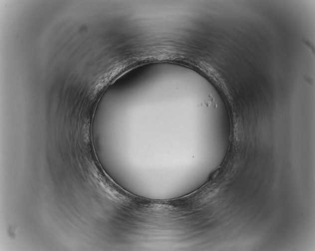 X0000099970393200806131536