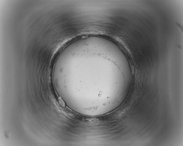 X0000099970395200806131536