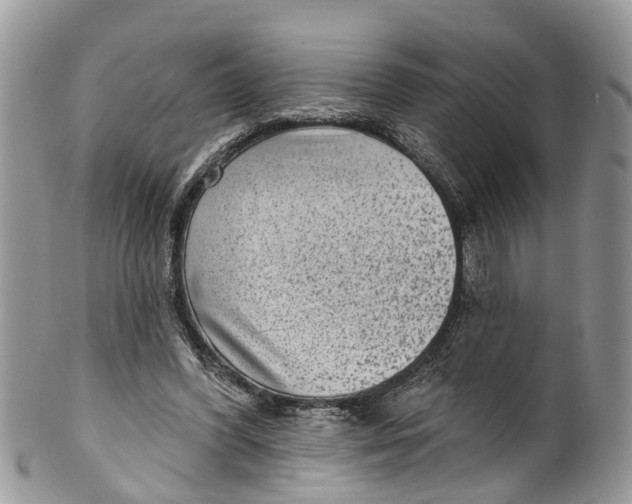 X0000099970396200806131536