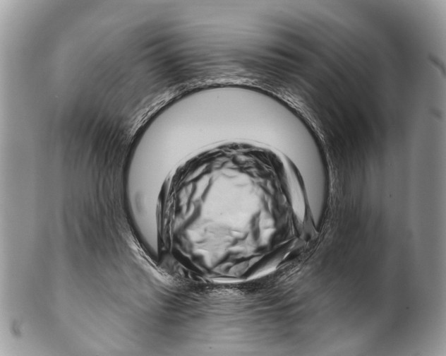 X0000099970397200806131536