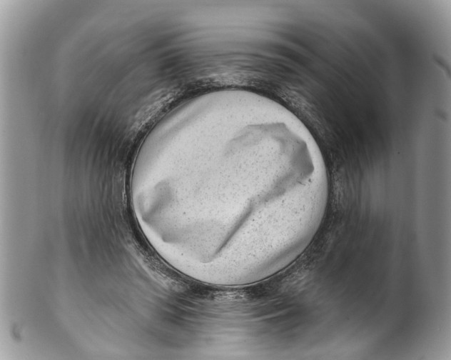 X0000099970398200806131536