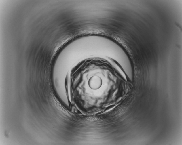 X0000099970399200806131536