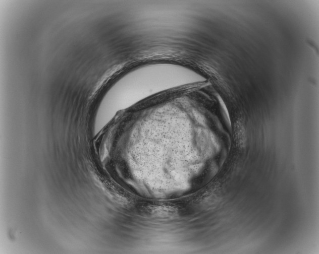 X0000099970400200806131536