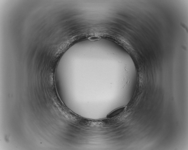 X0000099970401200806131536