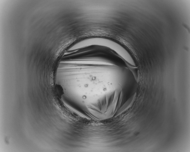 X0000099970403200806131536