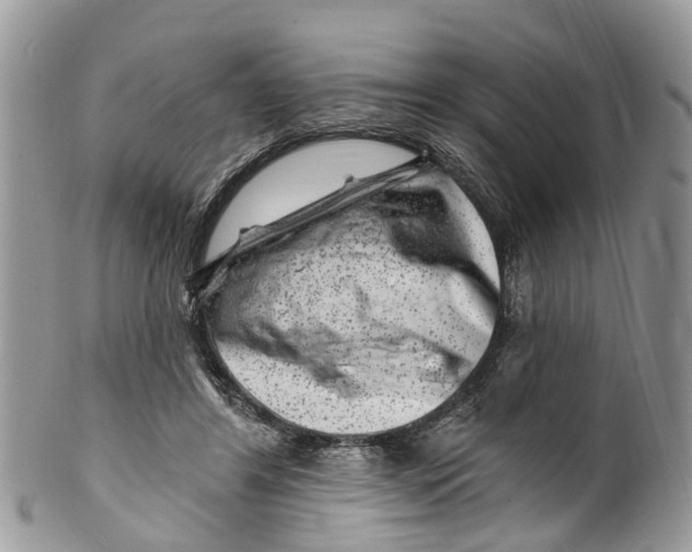 X0000099970404200806131536