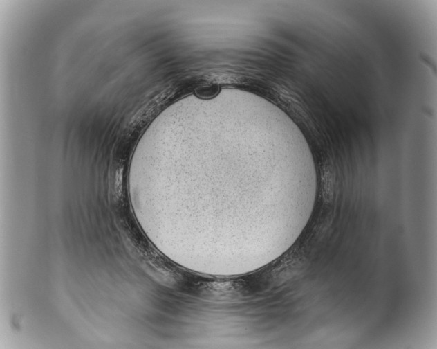 X0000099970406200806131536