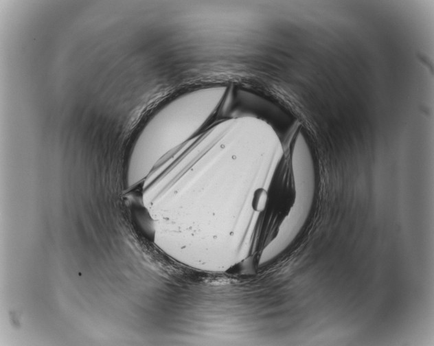 X0000099970407200806131536