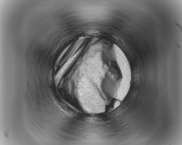 X0000099970408200806131536