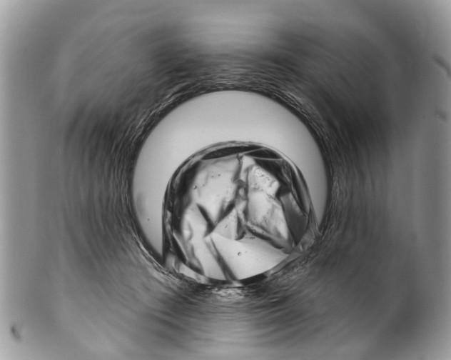 X0000099970409200806131536