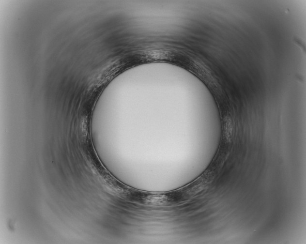 X0000099970410200806131536