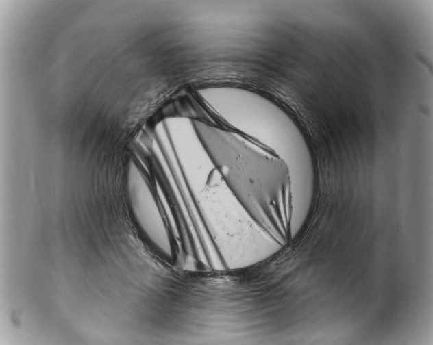 X0000099970411200806131536