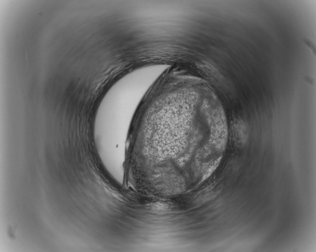 X0000099970412200806131536