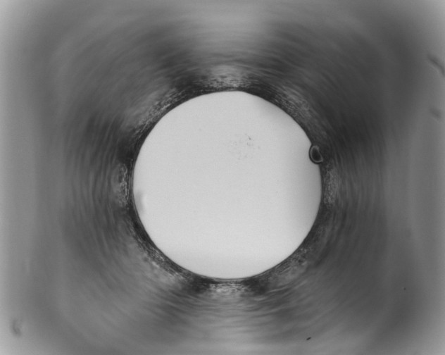 X0000099970414200806131536