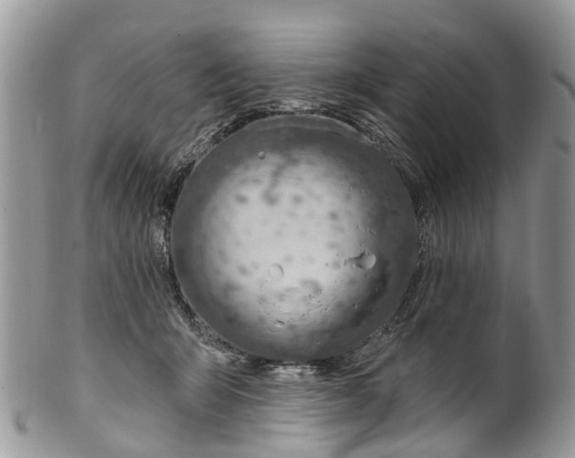 X0000099970415200806131536