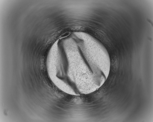 X0000099970416200806131536