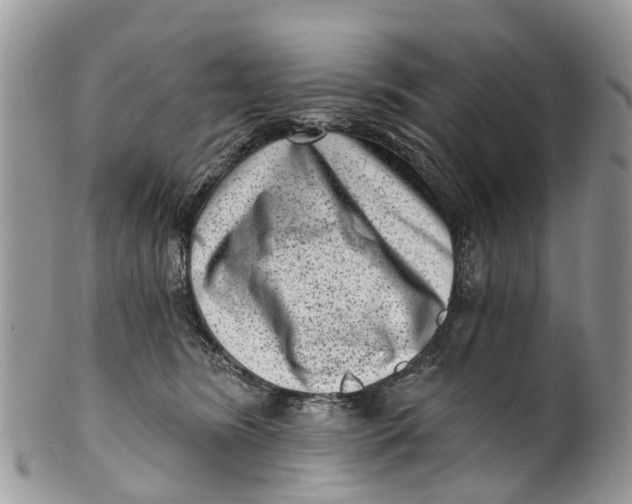 X0000099970420200806131536