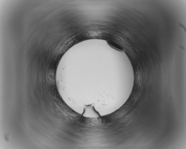 X0000099970421200806131536