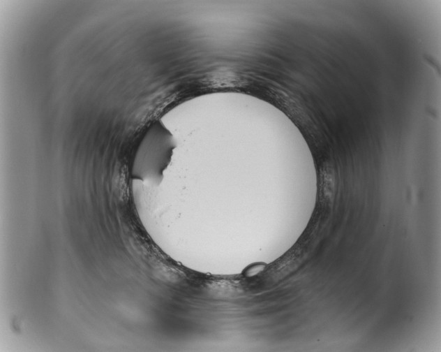 X0000099970422200806131536