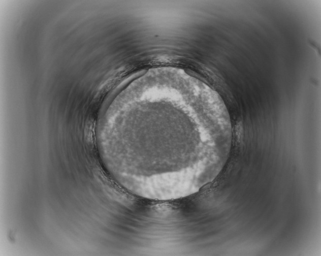 X0000099970423200806131536